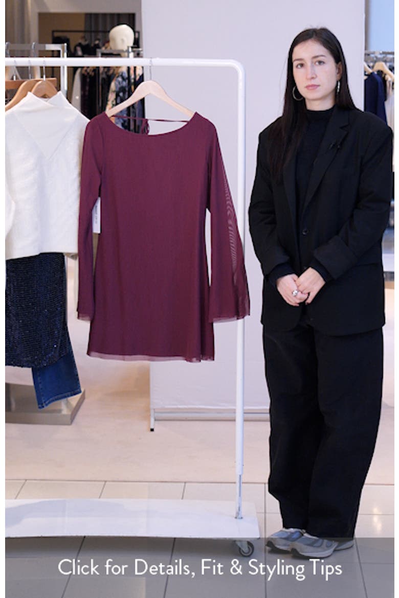 Lukea Long Sleeve Mesh Minidress video