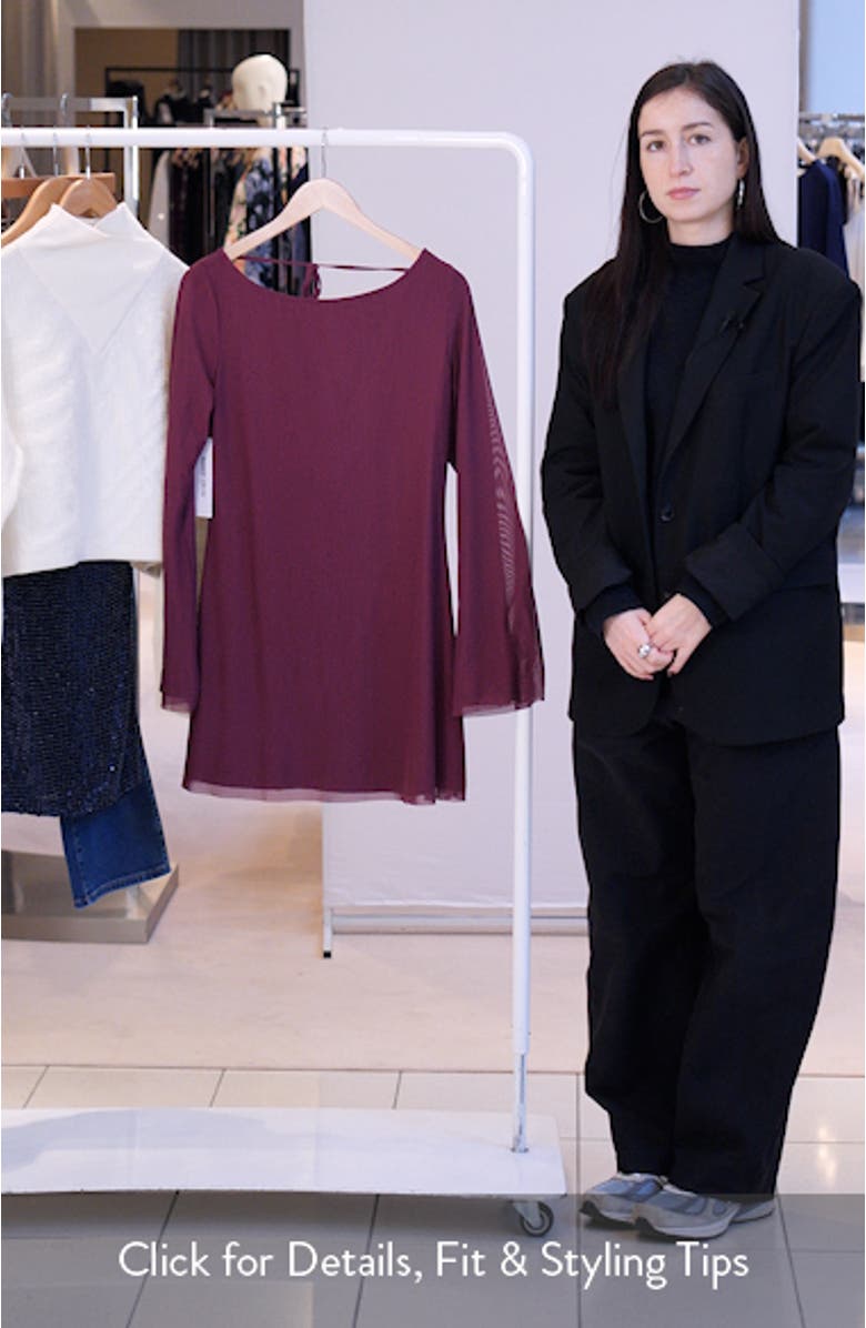 Lukea Long Sleeve Mesh Minidress, sales video thumbnail