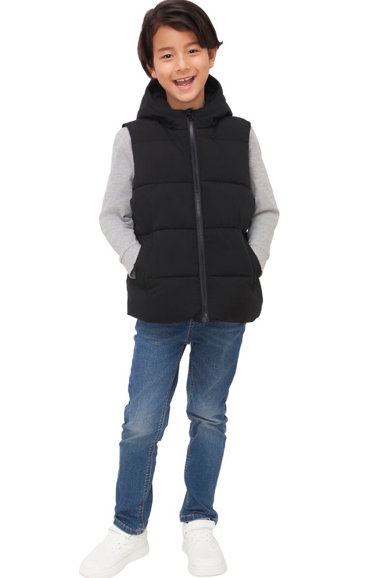 Kids' Everett Hooded Puffer Vest, Alternate, color, Black