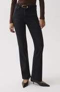 Pistola Evie High Waist Petite Bootcut Jeans