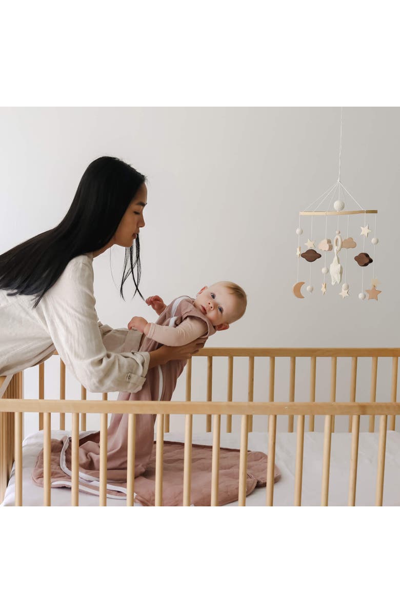 embé Baby Nursery Wooden Hanging Toy Crib Mobile, Rattan Shapes, Alternate, color, Animal Safari