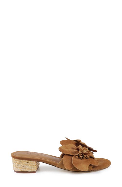 Zigi Artisan Autumn Block Heel Sandal In Brown