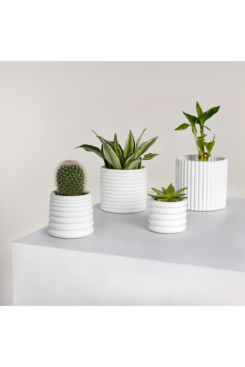 Silas Modern Minimalist Handmade Concrete Fluted Sculptural Cylinder Planter Set with Drainage Holes, Alternate, color, White