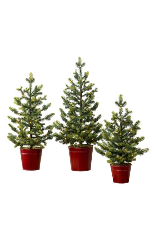 Balsam Hill Lit Countryside Tabletop Trees in Green  product