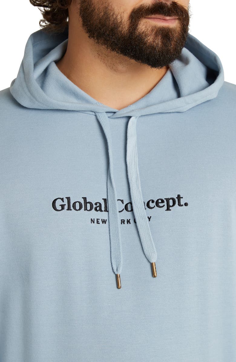 Johnny Bigg Global Concept Embroidered Hoodie, Alternate, color, 