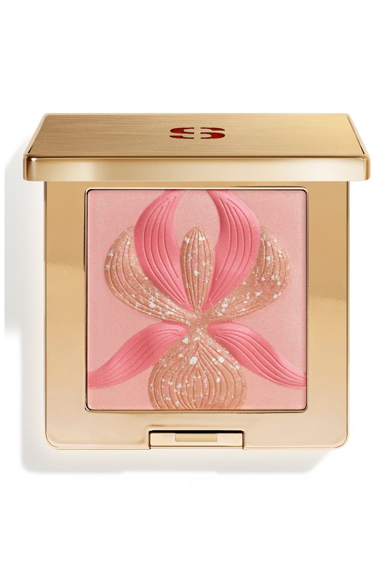 L'Orchidée Highlighter Blush, Main, color, 2 ROSE