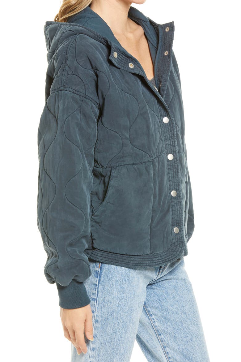 Quilted Hooded Jacket, Alternate, color, GARDENSCAPE