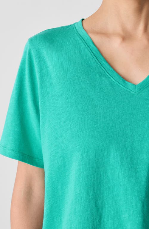 Eileen Fisher Easy V-neck Organic Cotton T-shirt In Jade