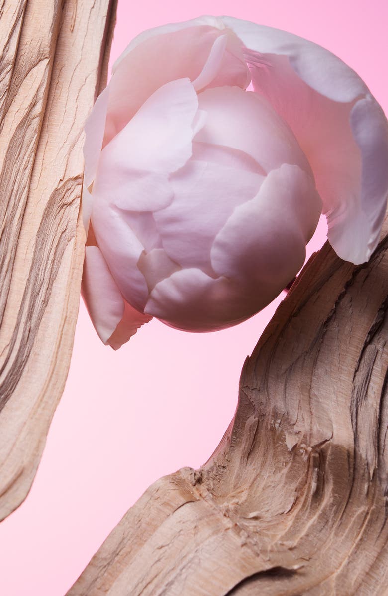 BVLGARI Allegra Insieme Eau de Parfum, Alternate, color, 