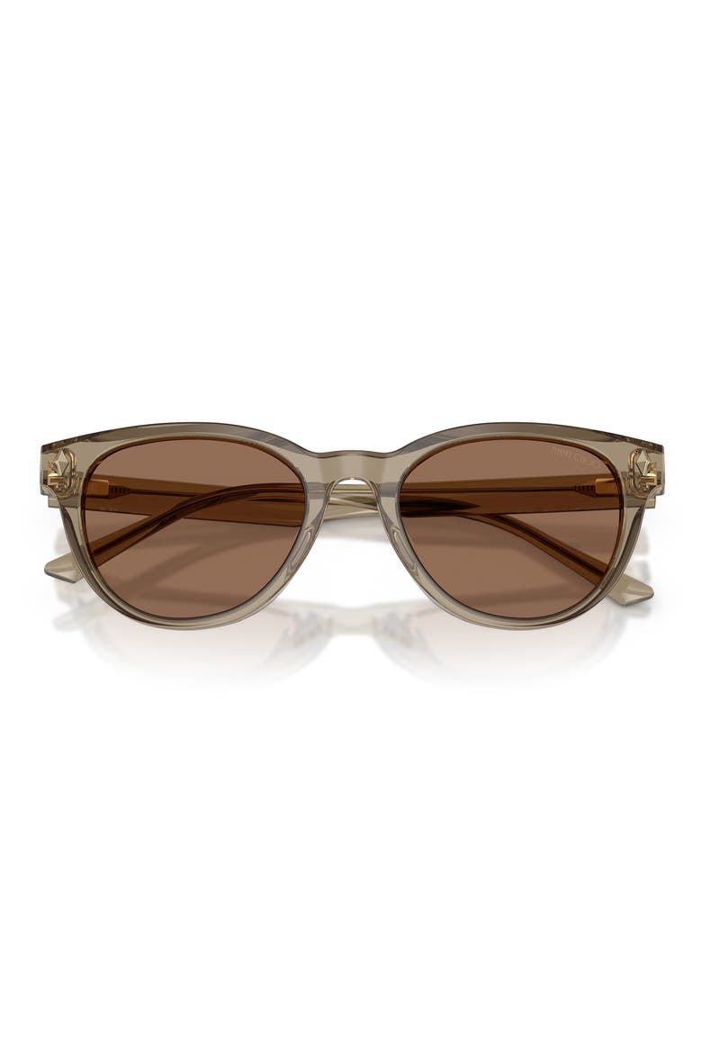 Trace 53mm Phantos Sunglasses, Alternate, color, TRANSPARENT BROWN / DARK BROWN