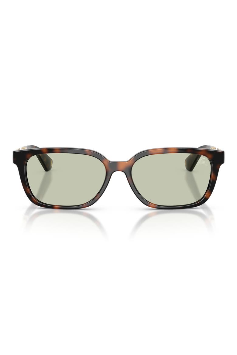 54mm Rectangular Sunglasses, Main, color, DARK HAVANA / LIGHT GREEN
