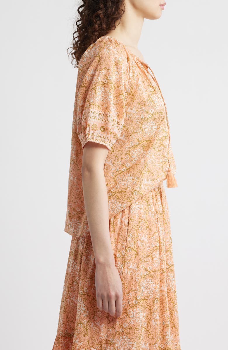 Cleobella Johana Print Tie Neck Top, Alternate, color, Cecil Blush Print