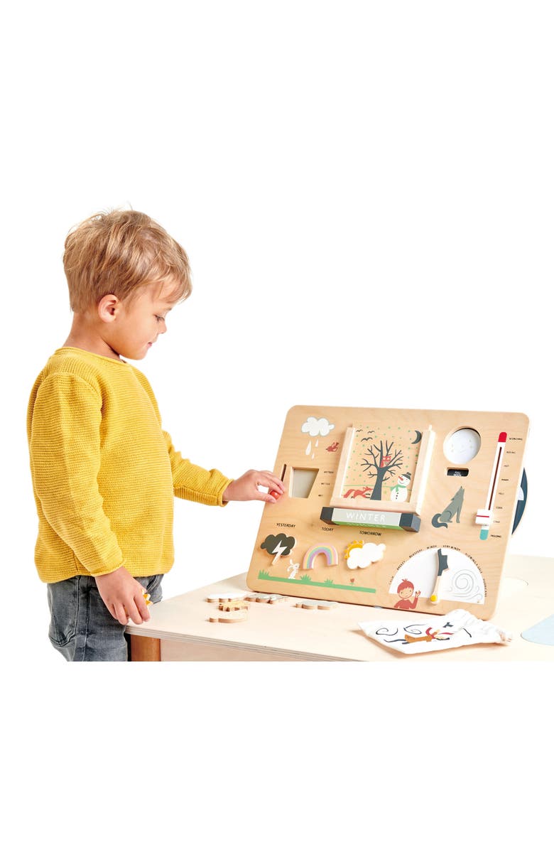 Tender Leaf Toys Weather Watch Board, Alternate, color, Multi