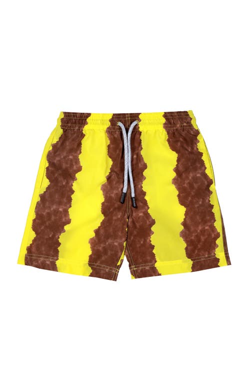 Nessi Byrd Kids' Stripe Quick-dry Swim Trunks