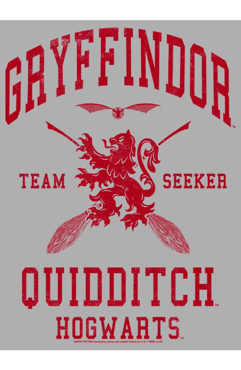 HARRY POTTER Boy's Harry Potter Gryffindor Quidditch Team Seeker  Graphic T-Shirt, Alternate, color, Athletic Heather