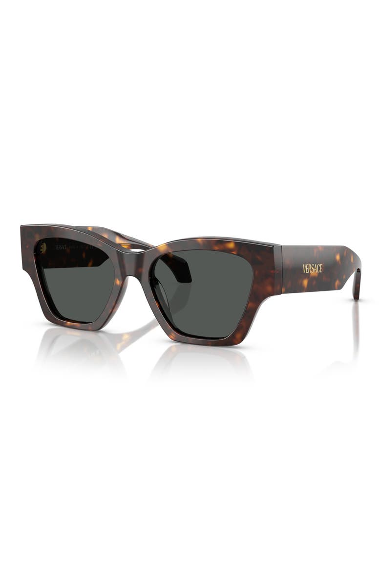 53mm Square Sunglasses, Alternate, color, DARK HAVANA/ DARK GREY