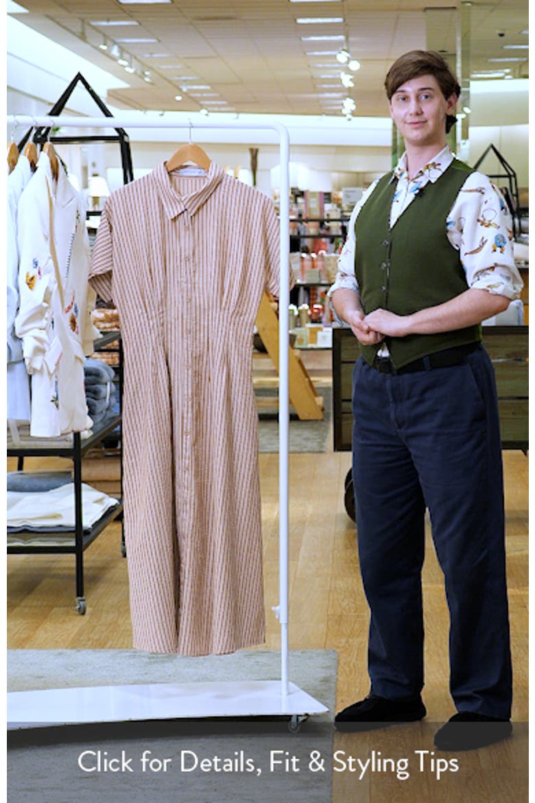 Eilis Stripe Midi Shirtdress video