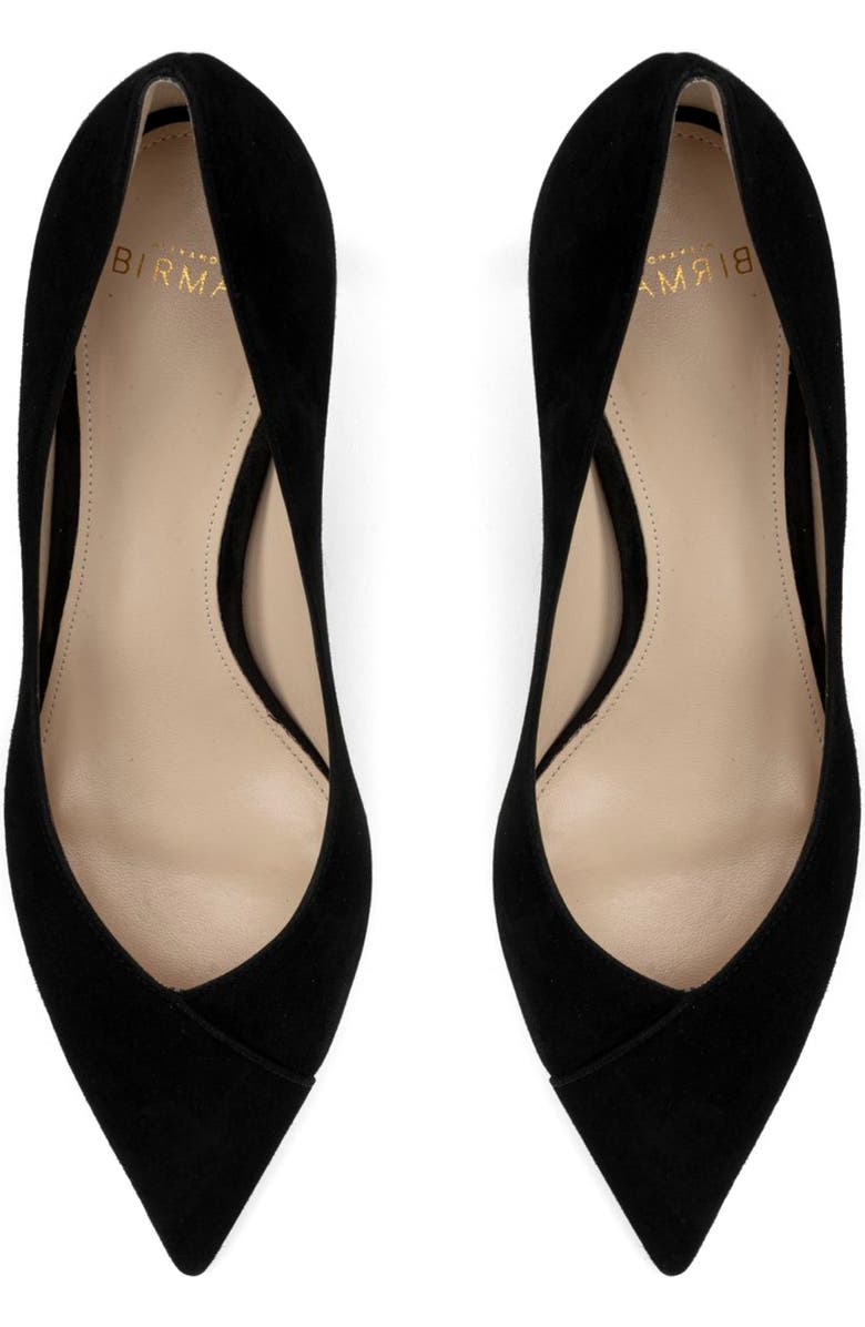 Alexandre Birman Pamela Pointed Toe Pump, Alternate, color,