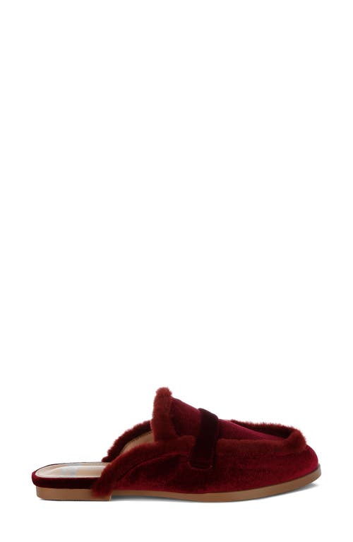 Rag & Co Malta Faux Fur Trim Velvet Mule In Burgundy