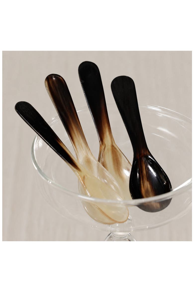 Set of 4 Horn Condiment & Caviar Spoons, Alternate, color, MULTICOLOR OF EARTH TONES