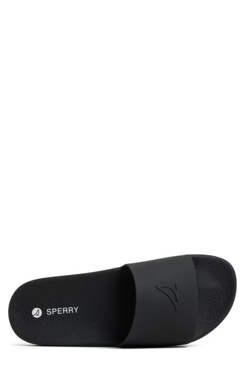 Sperry Freeboard Slide Sandal In Black