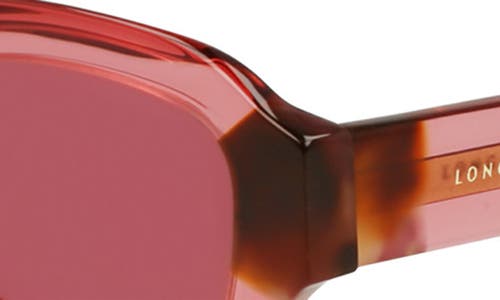Longchamp Heritage 50mm Cat Eye Sunglasses In Transparent Rose/rose Havana
