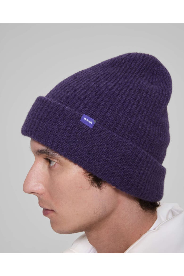 Solid Wool Blend Beanie, Alternate, color, Purple
