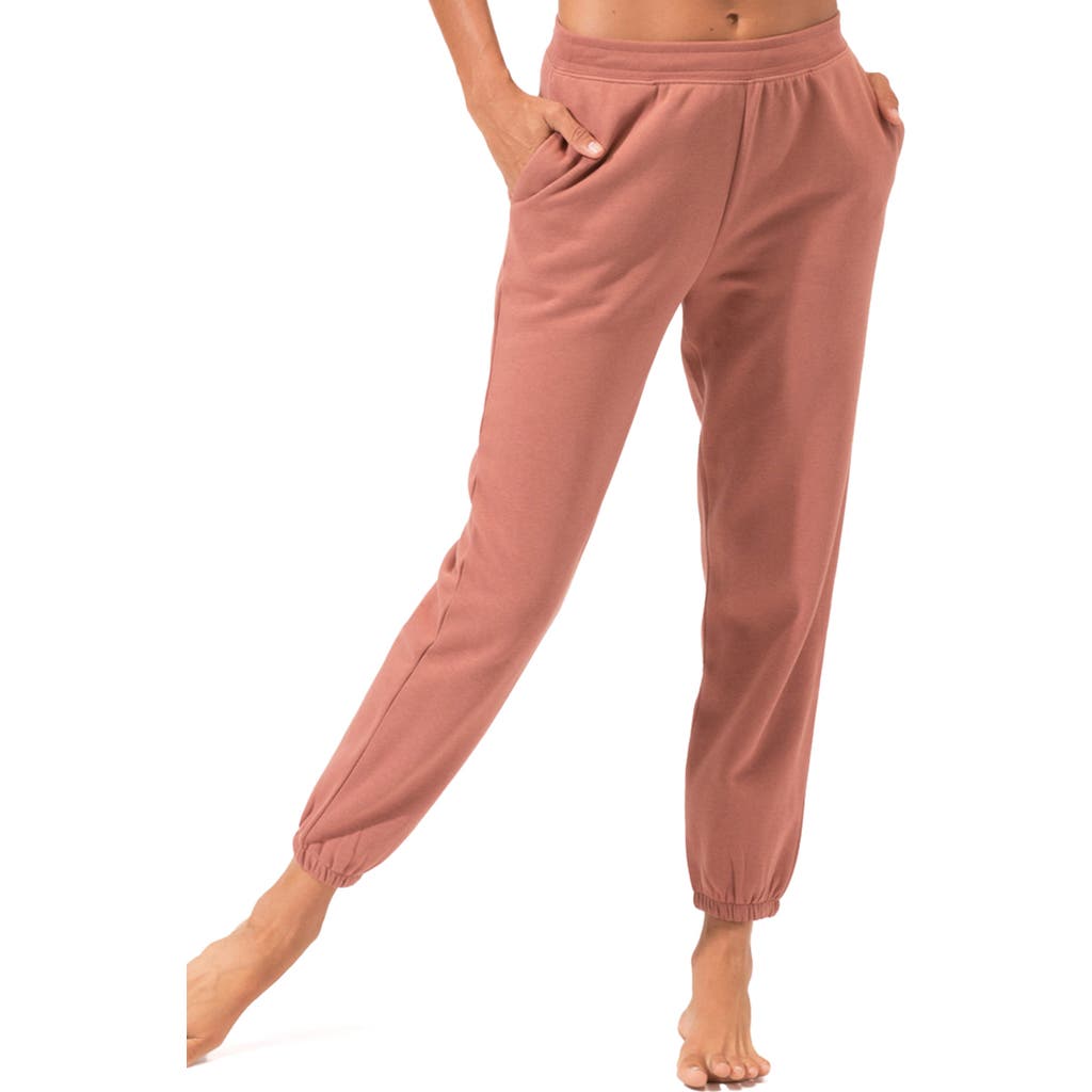 Threads 4 Thought Invincible Fleece Joggers In Brown