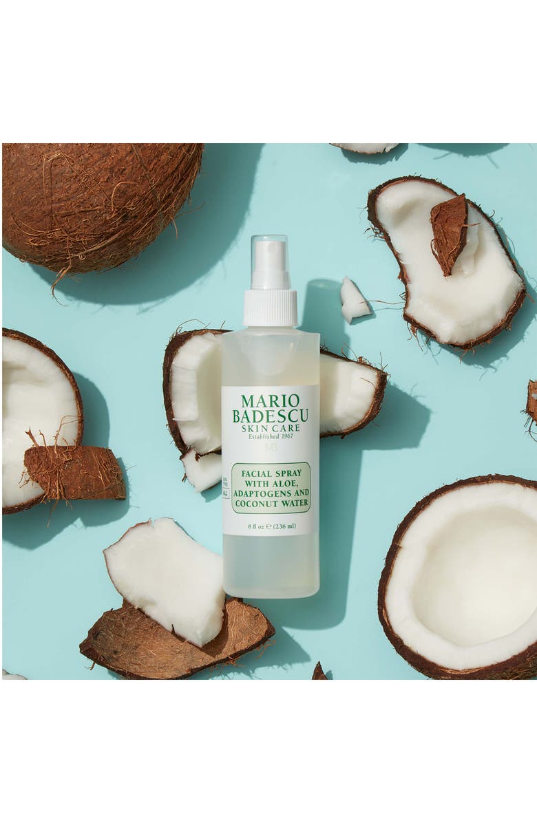 Mario Badescu Clean Facial Spray, Alternate, color, 