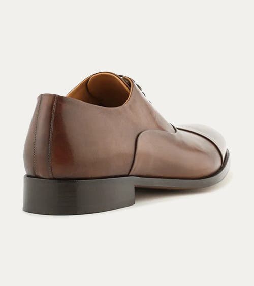 Ace Marks Griffin Cap Toe Oxford In Brown
