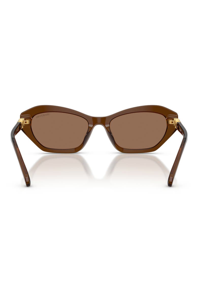 54mm Cat Eye Sunglasses, Alternate, color, TRANSPARENT BROWN / DARK BROWN