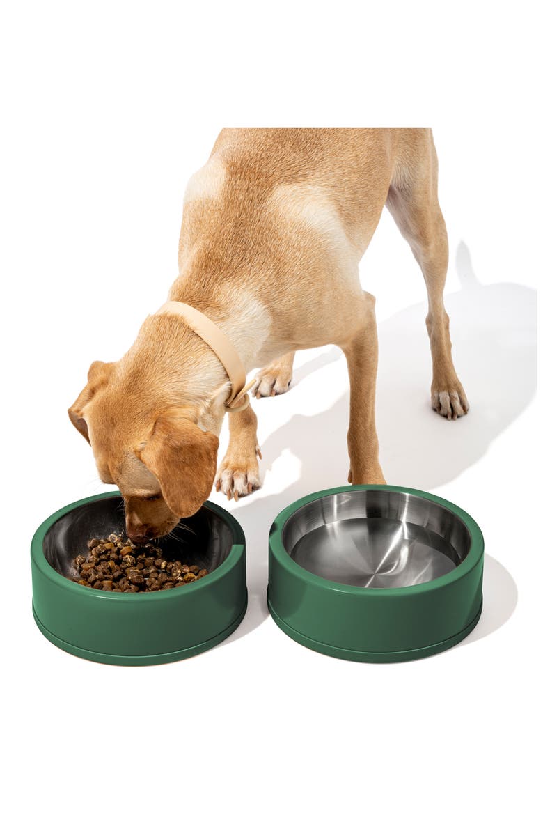Pet Food Bowl, Alternate, color, SPRUCE