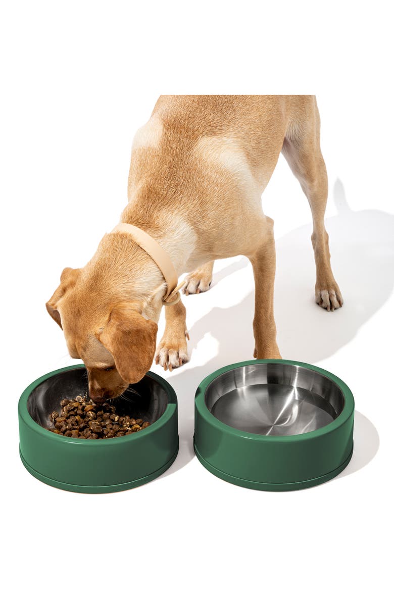 Wild One Pet Food Bowl, Alternate, color,