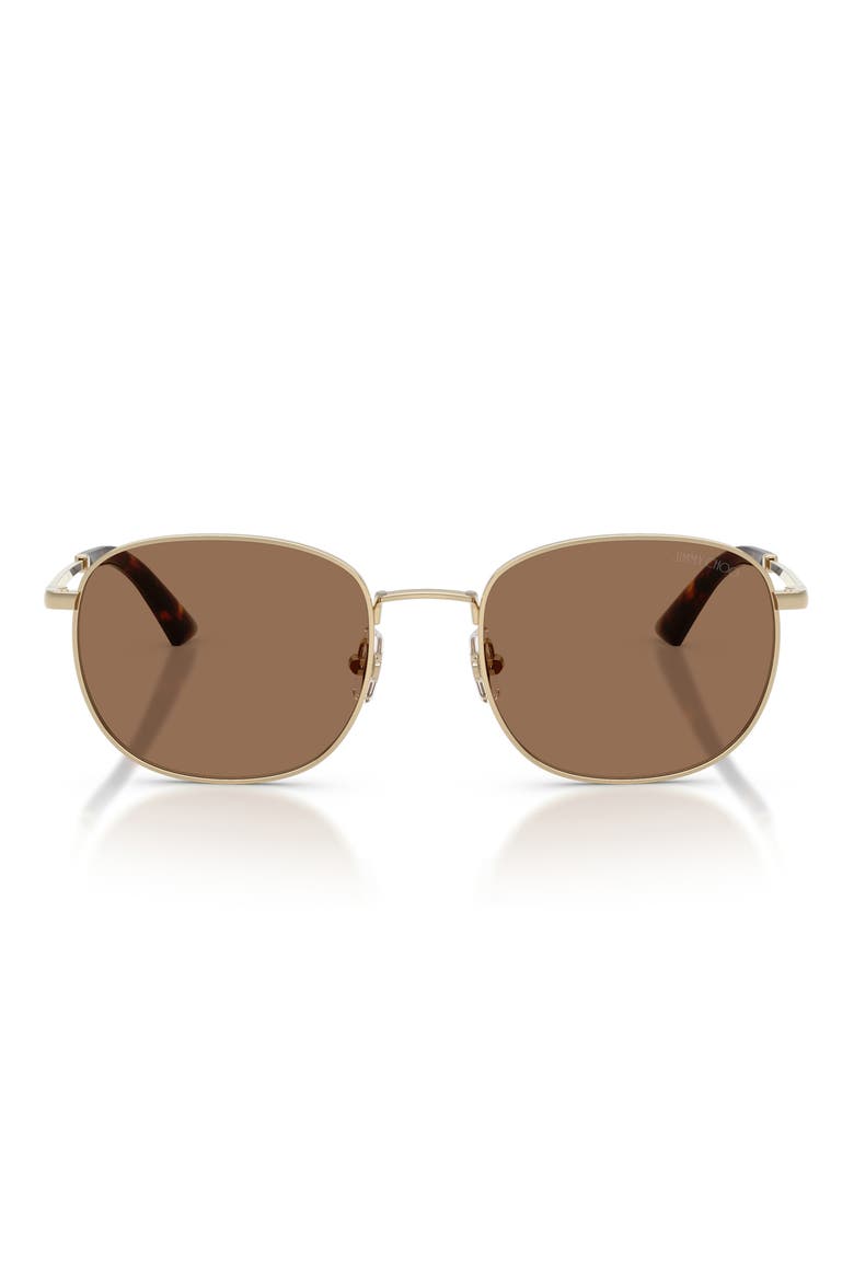 52mm Phantos Sunglasses, Main, color, PALE GOLD / DARK BROWN