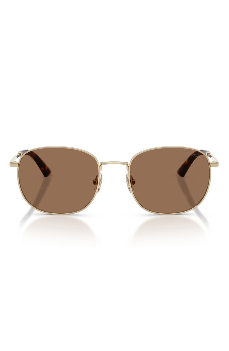 Jimmy Choo 52mm Phantos Sunglasses, Main, color, Pale Gold / Dark Brown