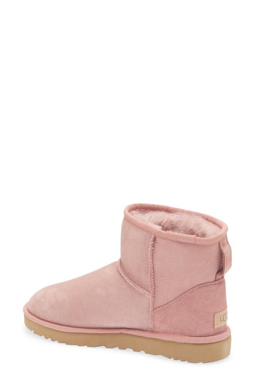 Ugg(r) Ugg Classic Mini Ii Genuine Shearling Lined Boot In Pink