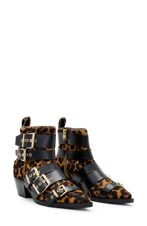 Allsaints Jane Buckle Bootie In Leopard Brown/black Calf Hair