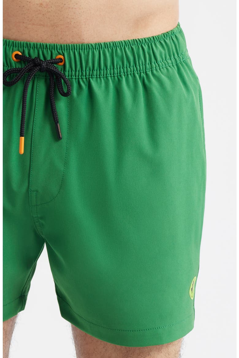 Demna Swim Trunks, Alternate, color, RAINFOREST GREEN