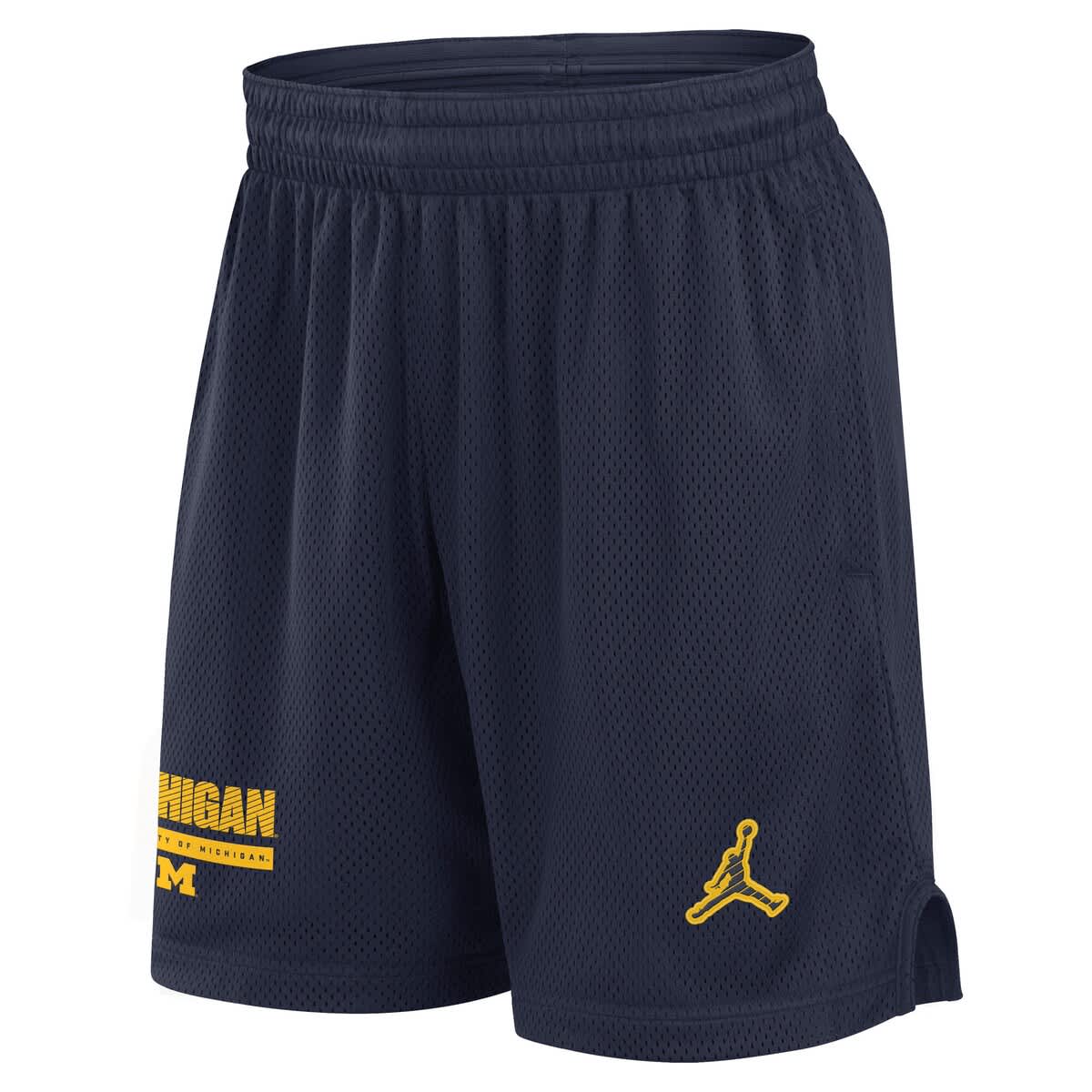 jordan michigan shorts