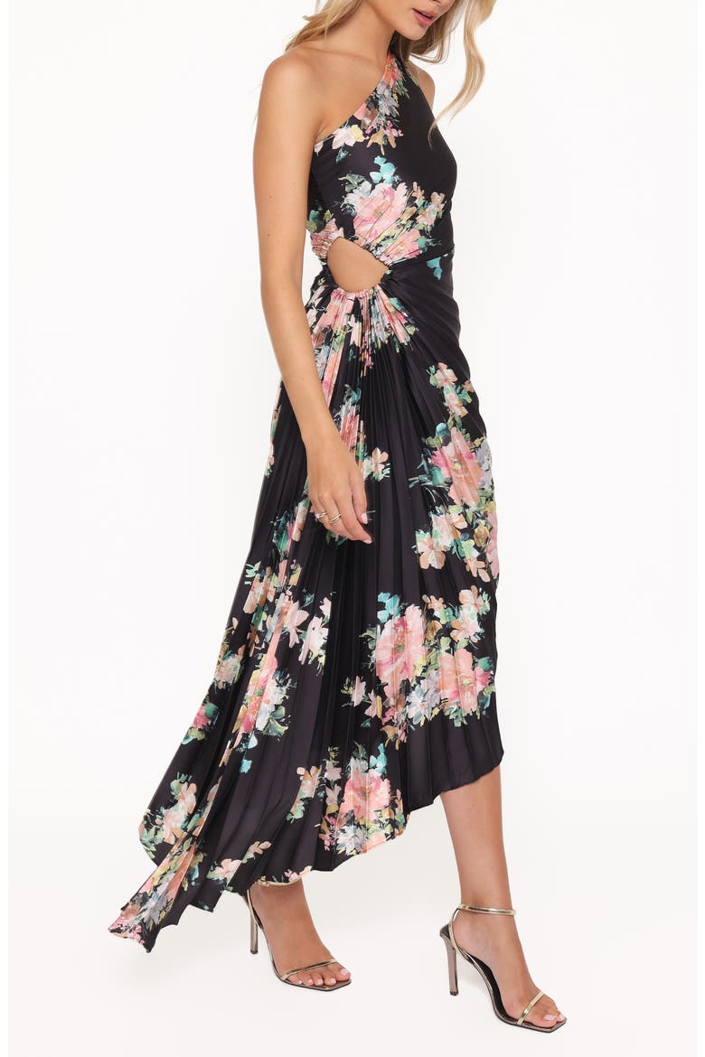 Kleo Pleated One-Shoulder Maxi Dress, Alternate, color, BLACK FLORAL