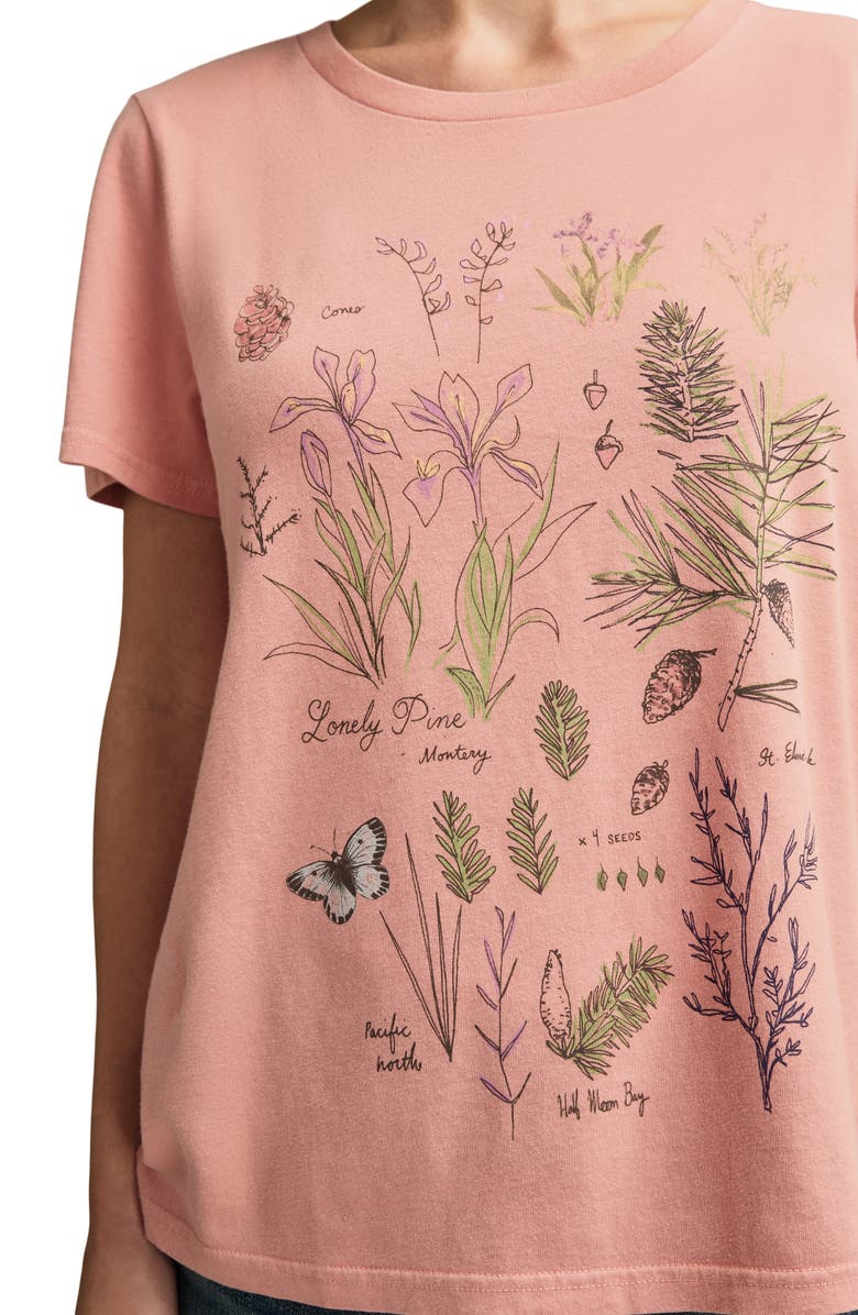 Lucky Brand Botanical Floral Cotton Graphic T-Shirt, Alternate, color,
