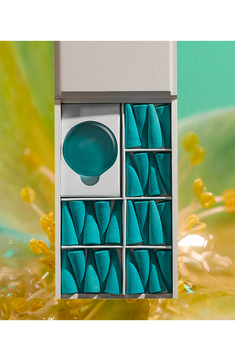 ripple⁺ home Chateau Gardenia Incense Cones, Alternate, color, 