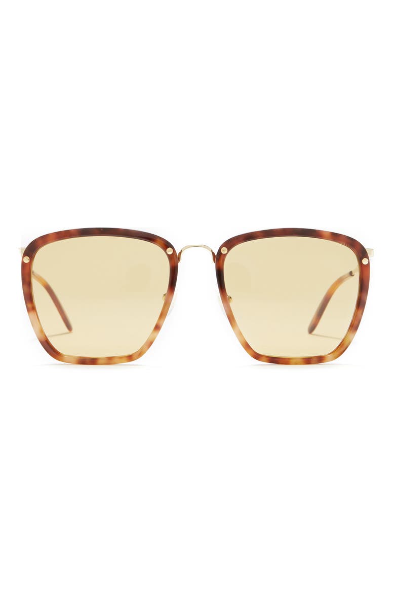 56mm Square Sunglasses, Main, color, HAVANA GOLD BROWN/ NIC