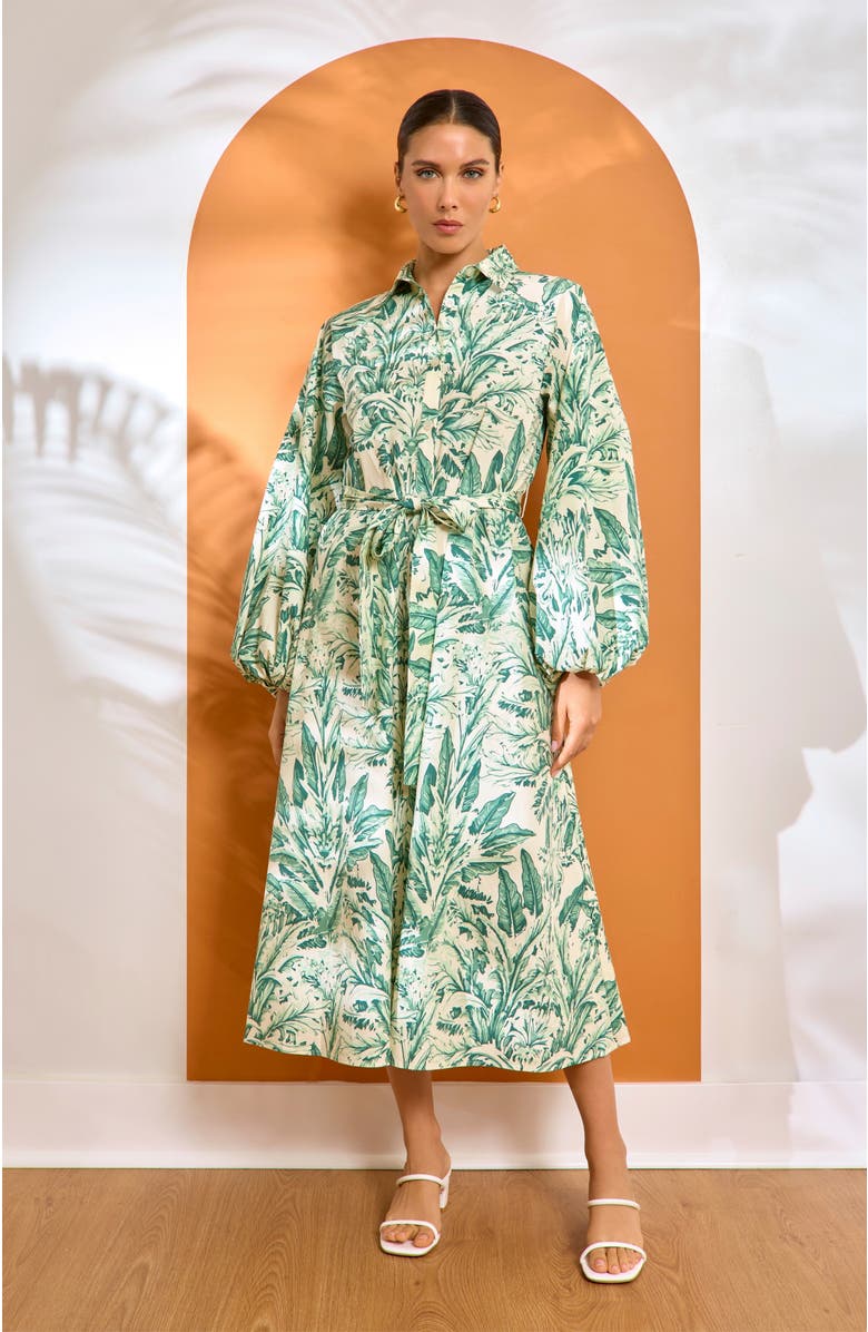 DIARRABLU Printed Cotton Poplin Naja Midi Dress Toile Olive, Alternate, color, Toile Olive