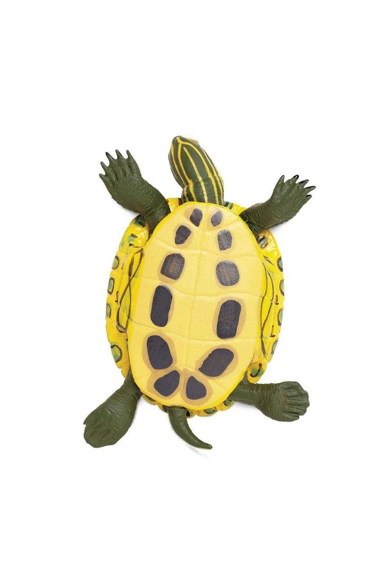 Red-Eared Slider Turtle Toy, Alternate, color, No Color