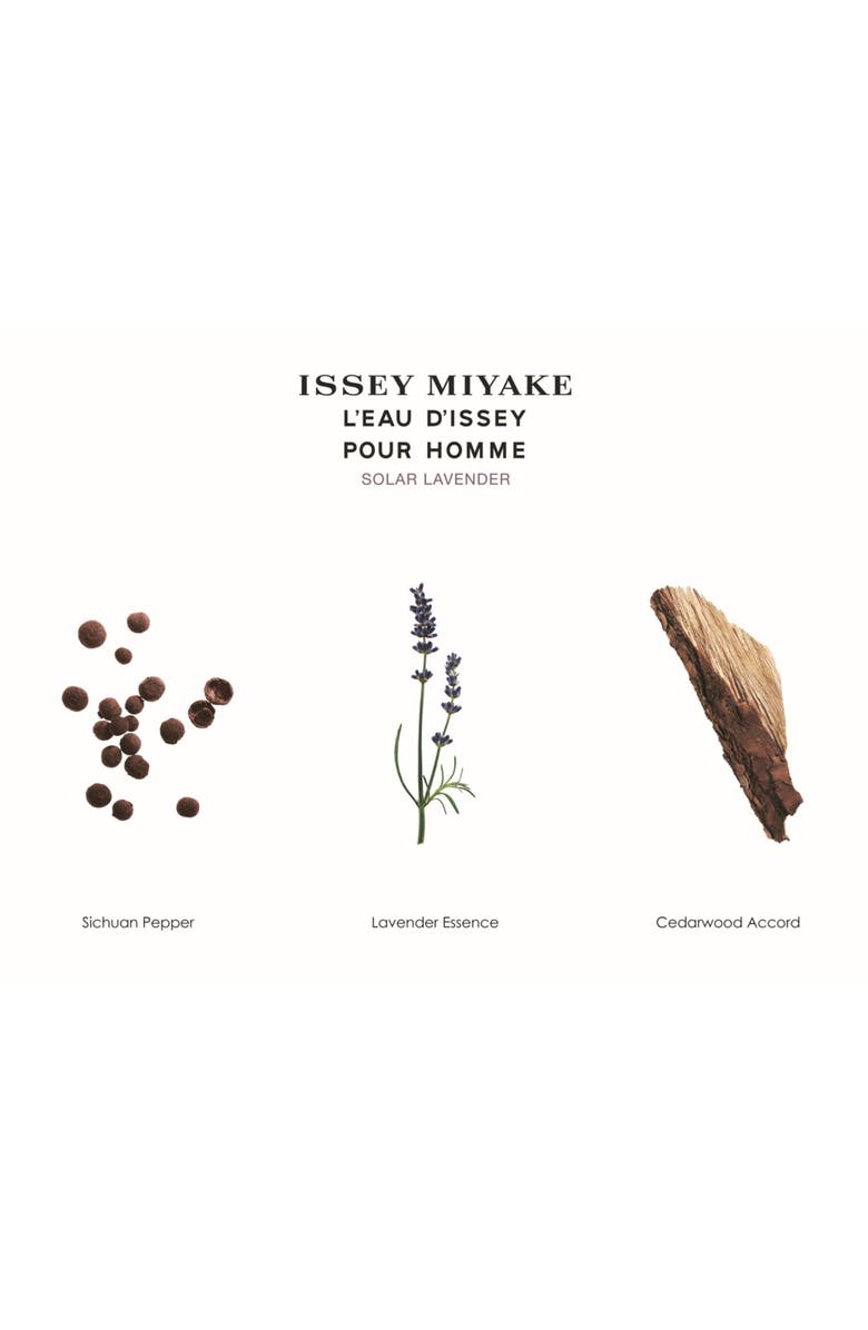 Issey Miyake L'Eau d'Issey Pour Homme Solar Lavender Eau de Toilette Intense, Alternate, color,