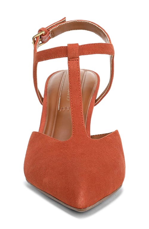 Franco Sarto Ovett Pointed Toe T-strap Pump In Brown