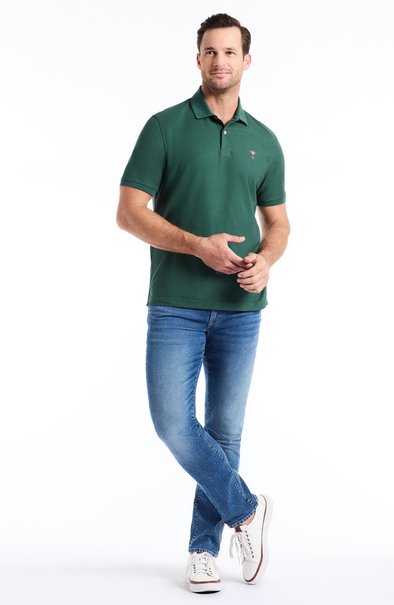 Robert Graham Belvar Knit Polo, Alternate, color,