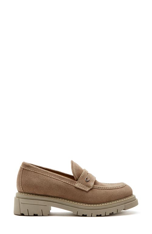 La Canadienne Dillon Perforated Suede Platform Penny Loafers In Wheat Perf Suede
