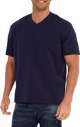 Threads 4 Thought Roger Relaxed Fit V-Neck Cotton Jersey T-Shirt
